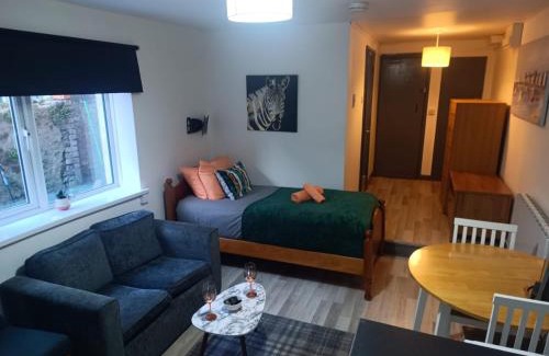 Adamsdown Apartment | Cosy Garden Flat near Bay & City Centre - Fast Wifi, 5 mins to centre