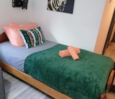 Adamsdown Apartment | Cosy Garden Flat near Bay & City Centre - Fast Wifi, 5 mins to centre