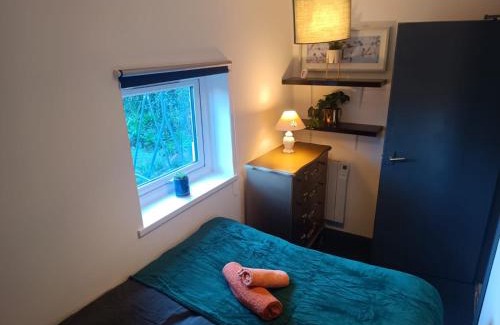 Adamsdown Apartment | Cosy Garden Flat near Bay & City Centre - Fast Wifi, 5 mins to centre