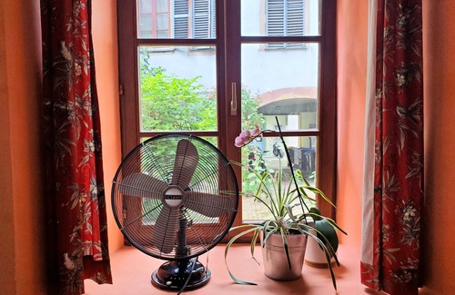 Historic Center Apartment | Cosy groundfloor appartment in the heart of Strasbourg, with 2 bikes.