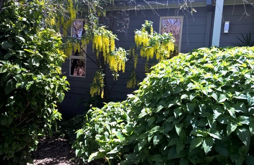 Merimbula House | Cosy house in central Merimbula with complimentary WiFi