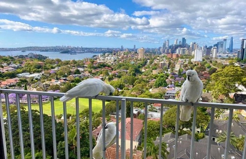 Neutral Bay Apartment | Cosy Place & Stunning Views | Great location