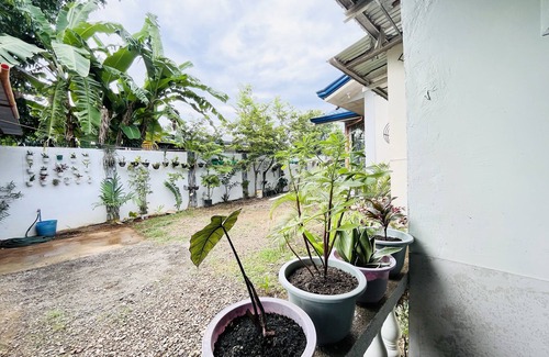 San Pedro Apartment | cosy room garden