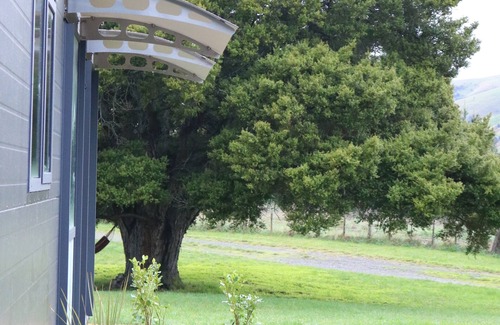 South Wairarapa District Cottage | Cosy Rural Getaway Close to Martinborough Wine Village