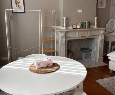 Klein-Antwerpen Apartment | cosy studio
