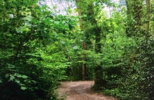 Broad Oak Other | Cosy woodland Romantic retreat With log fires and nature