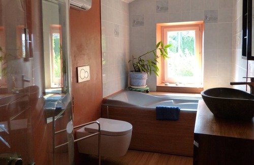 Mirandol-Bourgnounac House | Cottage 4 to 8 people in character house