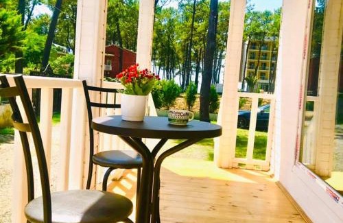 Grigoleti Apartment | Cottage Ani in grigoleti