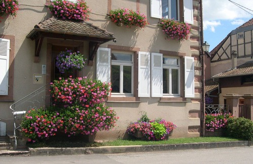 Hunawihr Apartment | Cottage "Grandmother" 3 ears with garden and private terrace
