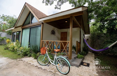 Costa Maya Cottage | Cottage/House with Pool in the mayan jungle & tree house- 2 miles from beach.