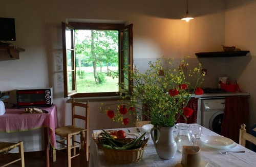 Montescudaio House | Cottage Il Gabbro with private park