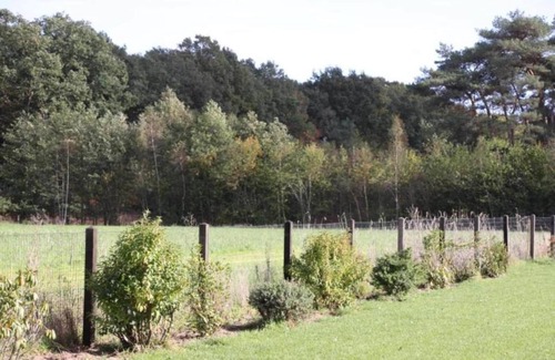 Langelo Ski Chalet | Cottage in Veluwe near Hoge Veluwe Park
