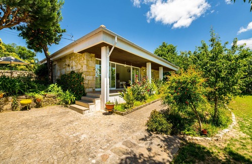 Barcelos House | Cottage - Olive House