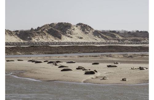 Merlimont-Plage House | cottage proche du bord de mer et au cœur des dunes