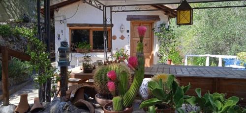 Porto Santo Stefano Ski Chalet | Cottage Pura Vigna immerso nella natura vicino al mare