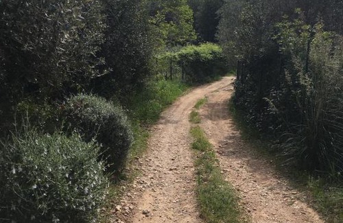 Porto Santo Stefano Ski Chalet | Cottage Pura Vigna immerso nella natura vicino al mare