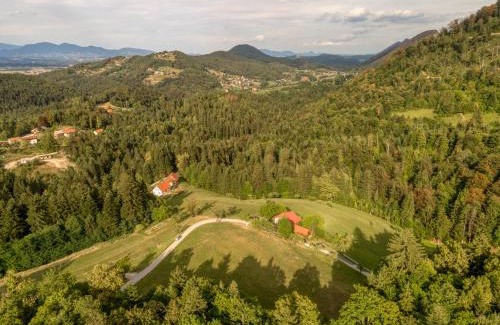 Zalec Apartment | Cottage surrounded by forests - The Sunny Hill