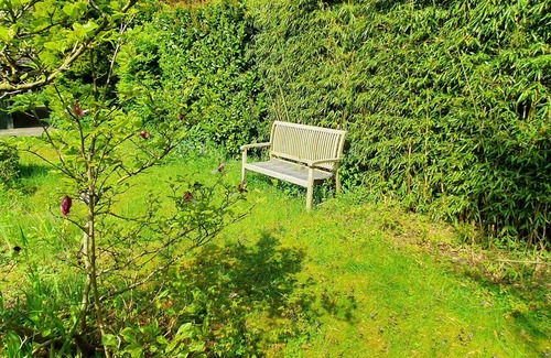 Zorgvlied House | Cottage The Lucky Bird