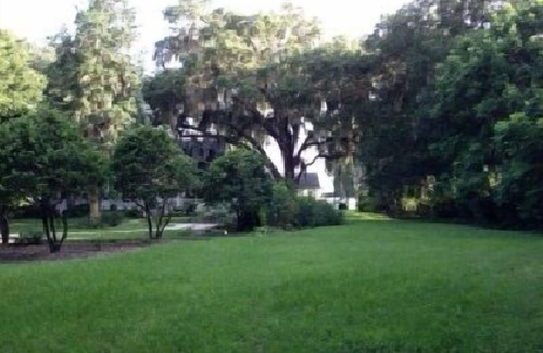 Doctors Inlet House | Cottage Under Majestic Oaks Near The Banks Of The St Johns River-Pets Welcome