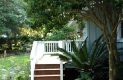 Doctors Inlet House | Cottage Under Majestic Oaks Near The Banks Of The St Johns River-Pets Welcome