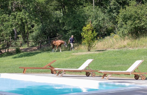 Grotte di Castro Cottage | Cottage with swimming pool, veranda, garden and private parking