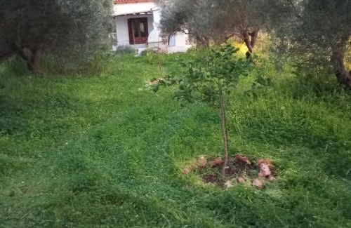 Sissi House | Cottage1Το μικρό σπίτι στο λιβαδι