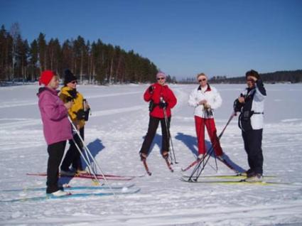 Punkaharju House | Cottages SAA