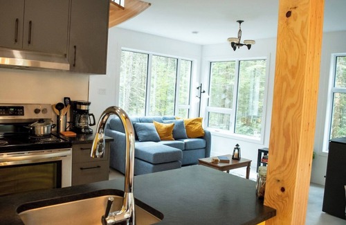 Sainte-Christine-d'Auvergne Ski Chalet | Country Comfort - Woods & RiverLa Sittelle