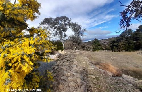 Googong House | Country Cottage in Town