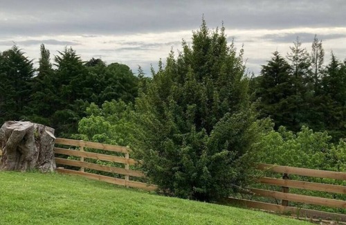 Pyes Pa House | Country escape near City