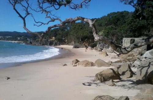 Langs Beach Bed & Breakfast | Country Homestead at Black Sheep Farm