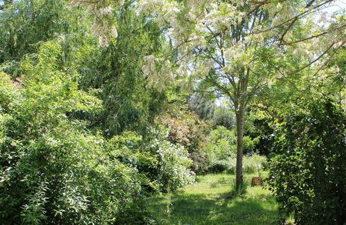 Massais Hotel | COUNTRY HOTEL ROOM NEAR THOUARS 79