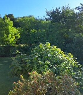 Rovolon House | Country House Bucaneve