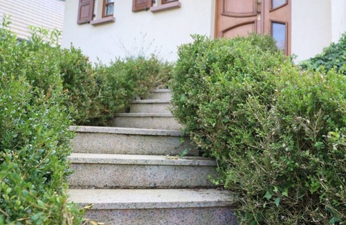 Artolsheim House | COUNTRY HOUSE CENTER ALSACE