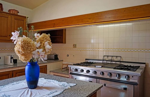 Bico Villa | Country House 'Eido Da Devesa' with Mountain View, Private Pool and Wi-Fi
