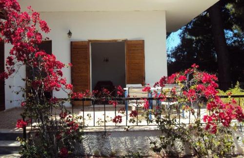 Mati House | Country House