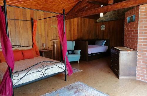 Guilhofrei House | Country House - Hippie Garden