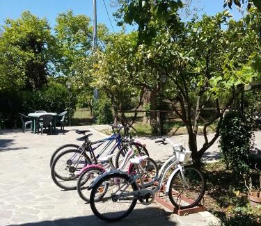 Altavilla Silentina House | Country House L'Ippocastano