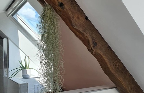 Branderion House | Country house near the sea