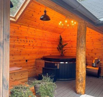 Dziemiany Villa | Country house