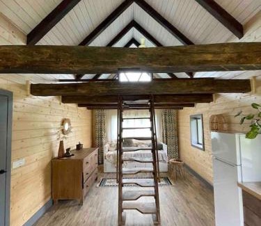 Vadu Crisului Ski Chalet | Country House