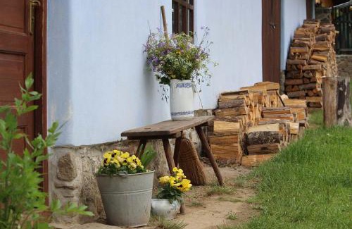Radic House | Country house - Slapy/Pazderny