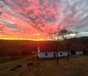 Radic House | Country house - Slapy/Pazderny