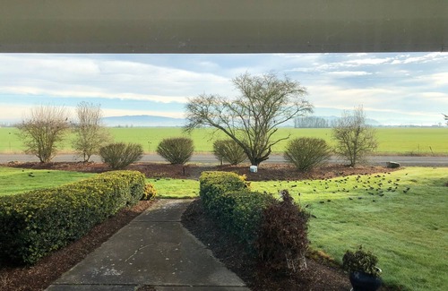 Albany House | Country living in Oregon. Private room and bathroom.