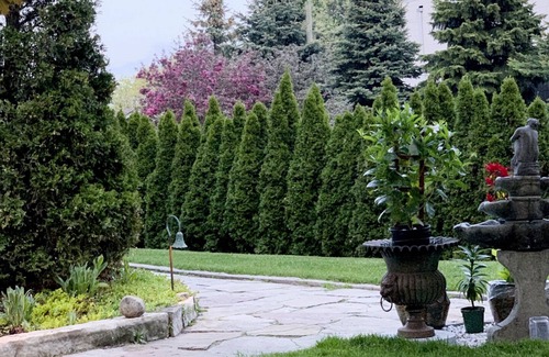 Swansea House | COUNTRY LIVING IN THE CITY