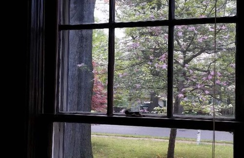 Ellendale House | Country Living in the City, Relax!