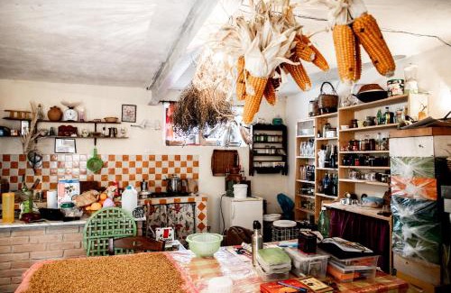 Laconi House | Country Living School