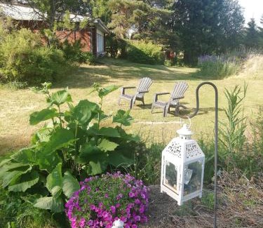 Jamijarvi Ski Chalet | Countryside house Villa Pauliina -lomatalo