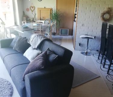Jamijarvi Ski Chalet | Countryside house Villa Pauliina -lomatalo
