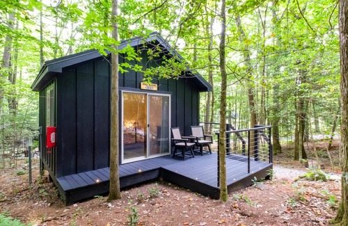 Balsam Grove Cabin | Couples’ Glamping Cabin - Bearly Behaving